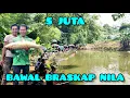 Lagu Full strike di kolam mancing borongan 5 juta !! Bawal nila dan braskap