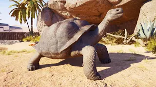 Planet Zoo 2 - Galápagos Giant Tortoise Gameplay (PS5 UHD) [4K30FPS]