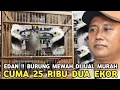Lagu PUYENG KEJAR SETORAN || BURUNG ME AH JUAL MURAH 25 RIBU DUA EKOR DI KIOS MANTO PB PRAMUKA 