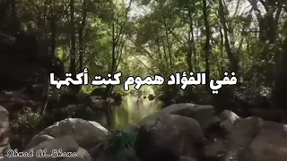 كم بت  في ظلمات الليالي   د  ماجد عبد الله  الشعر الفصيح  الشعر الحديث  مناجاة  الشامي دندنها