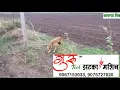 Demo-Guru Tech Solar Zatka Machine Fencing Energiser