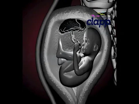 Amazing Baby Movements Inside the Womb 🤰👶 | Amazing Fetal Movements & Baby Kicks #Shorts