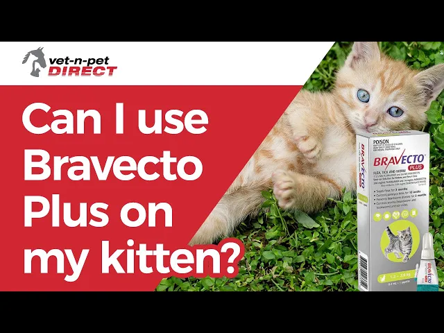Bravecto Plus Spot-on for Large Cats - 2 Pack
