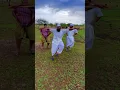 Download Lagu Kathi n ghongad | काठी न घोंगडं #kathinghongad #गावरान_तडका #dhangaridance #folkdance