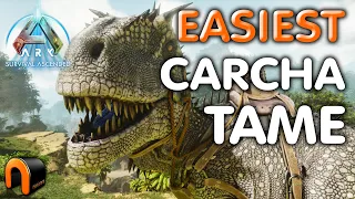 EASIEST Carcharodontosaurus TAME EVER Ark Survival Ascended