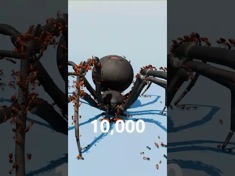 Ants hunting Cockroach vs Ants Hunting Black Widow