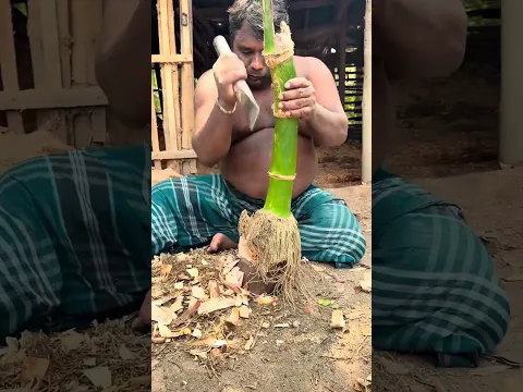 #bts