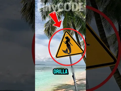 No te bañes nunca en la playa si ves esto⚠️😯