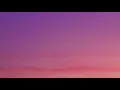 Miley Cyrus - Zombie (Lyrics) Live from the NIVA Save Our Stages Festival