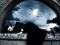 Download Lagu Saadi tere naal honi galbaat ve koi pichle janam di