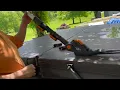 Worx WG252 20 V 20 Cordless Hedge Trimmer Reach Up to 12 feet Extended Pole Review