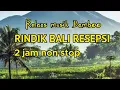 Download Lagu Rindik Bali Resepsi//Terbaru//Rindik Penyejuk Hati//2 jam Non Stop//@Wayan Rindik Bali