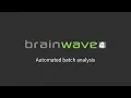 Automated batch analysis