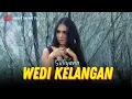 Download Lagu Karaoke - Wedi Kelangan - Suliyana (Official Video Karaoke ANEKA SAFARI)