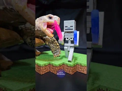 Minecraft ASMR Mukbang Eating Skeleton's Pink Sword 🗡️