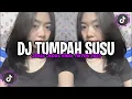 Download Lagu DJ CAKEP TAPI SAYANG JADI BEBAN KELUARGA - DJ TUMPAH SUSU JEDAG JEDUG VIRAL TIKTOK 2023