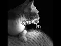 Paradise-Liaze (sped up)