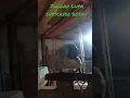Download Lagu suara kutiLang terancam kusus pikat