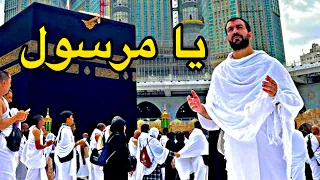 يا مرسول إسماعيل بلعوش جديد  يا مرسول إسماعيل بلعوش جديد