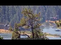 KD-1 Won t Leave Shadow Alone Something Is Changing at Big Bear Nest