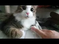 I m considering biting you