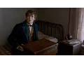 Video di Animali fantastici e dove trovarli - Teaser Trailer Italiano Ufficiale | HD