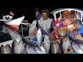 Download Lagu Mancing, Masak \u0026 Makan diatas Perahu di tengah laut 