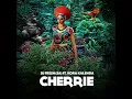 DJ Fresh SA - Cherrie (Aliphatik's Afro Mix Instrumental) || Afro House Source | #afrohouse