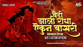 vedi zali radha aikun basari krishna janmashtami 2023 dhol tasha mix ajit u0026 ketan official