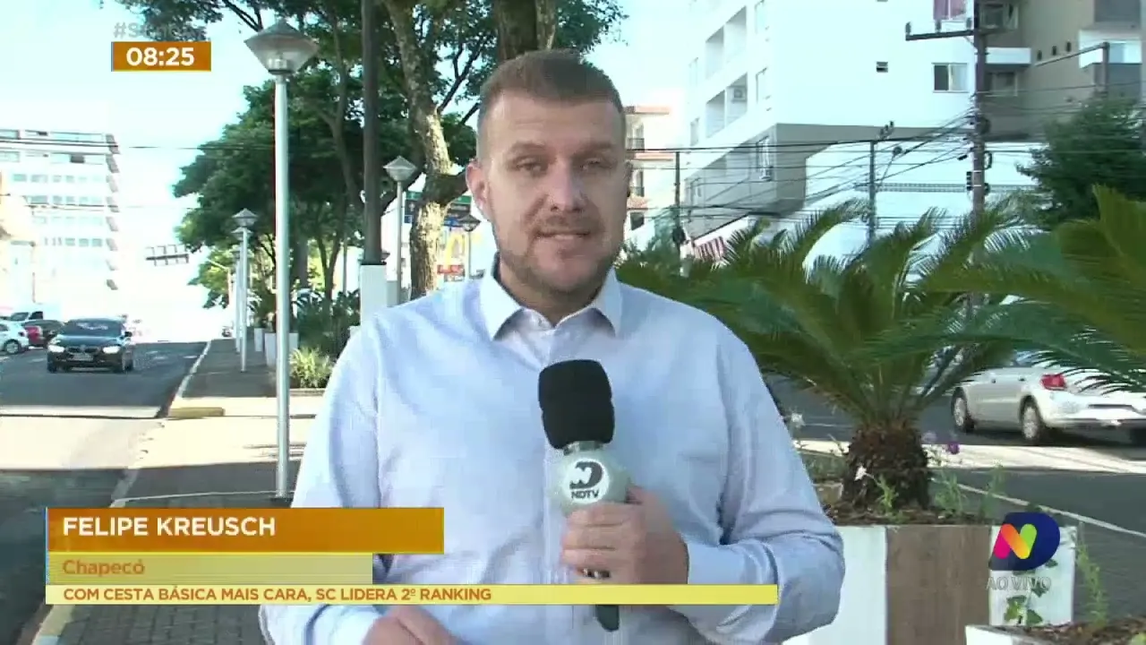 Prefeitura de Concórdia, no Oeste de SC, vai oferecer documento de identidade para cães e gatos