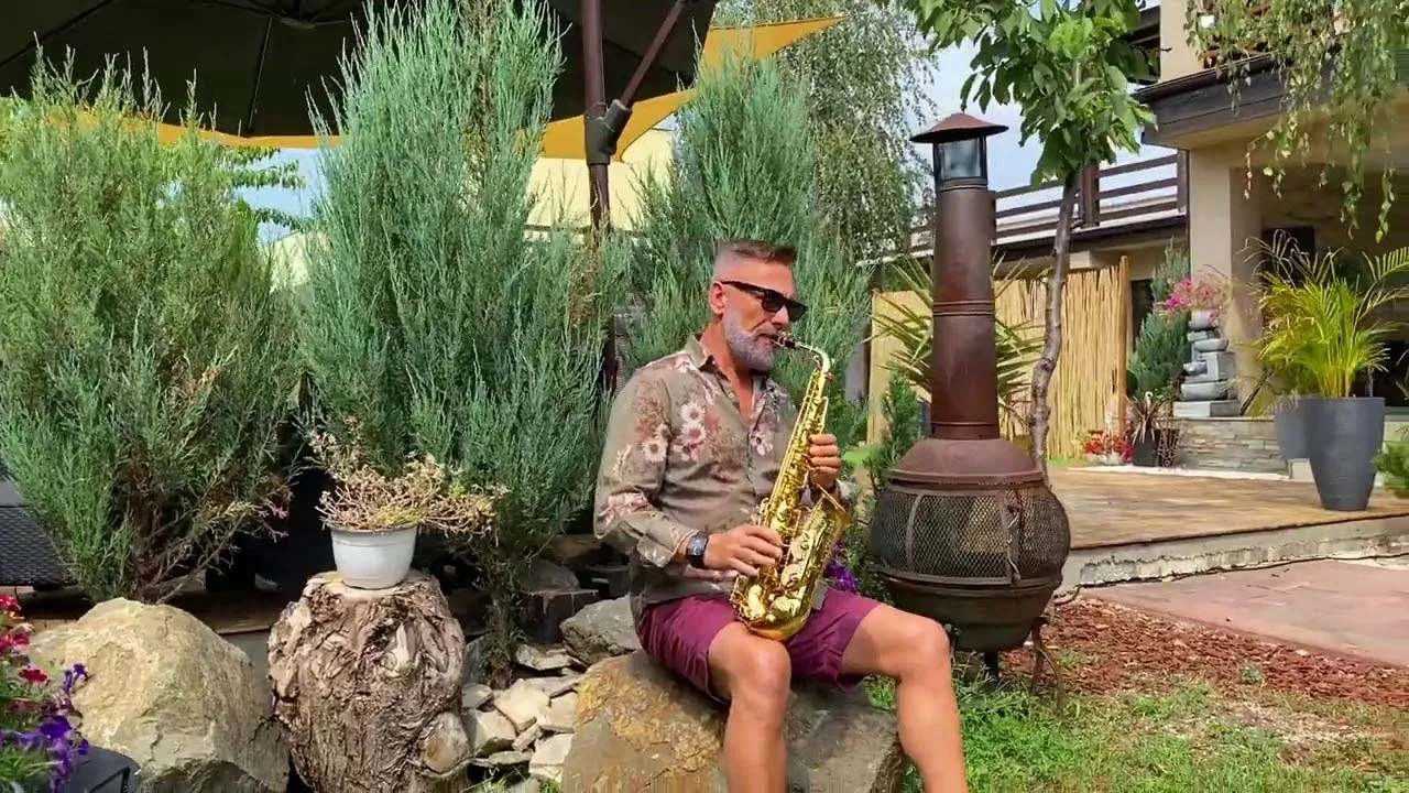 Petrica Nicoara - Doina 2020 (Melodie Originala)