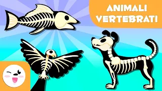 Download ANIMALI VERTEBRATI per bambini - Mammiferi, uccelli, rettili, pesci e anfibi MP3