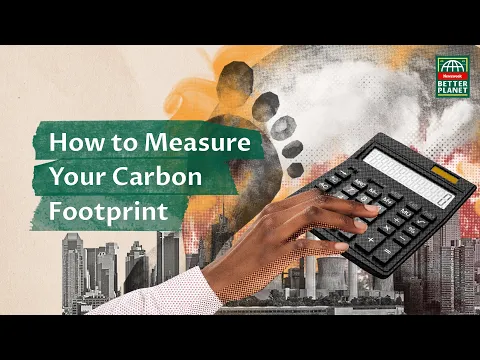 How to Calculate Your Carbon Footprint