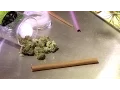How to Roll Cannabis With a Blunt Wrap Marijuana Tips Tricks Cannabasics