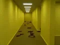 Crab Rave - Backrooms Edition