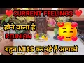 Lagu Current feelings of your Partner| Tarot Card Reading in Hindi |Current Feelings Today|Tarot Reading 