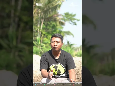 Manfaat Pupuk Kandang!! Cara Pemberian Pupuk Kamdang!! #kohe #dekomposer #ls23