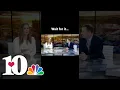 News bloopers there was a wasp in the studio
