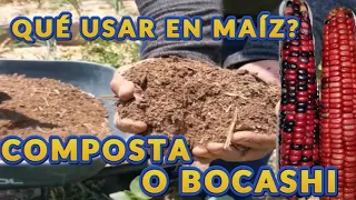 MEJOR FERTILIZANTE PARA MAÍZ, ES LA COMPOSTA O EL BOCASHI ?