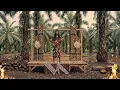 Tony Q Rastafara - Setelah Itu - (KERONCONG)