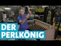 Download Lagu Das Sekt-Wunder des Volker Raumland