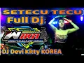 Download Lagu New Part 2 SETECU TECU FULL DJ DEVI KITTY KOREA WIKA SANG PENJELAJAH SUMSEL