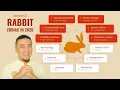 2026 RABBIT ZODIAC Discover Your Auspicious and Dangerous Star Alignments
