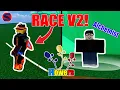 How To Get Race V2 FAST in Blox Fruits 2024