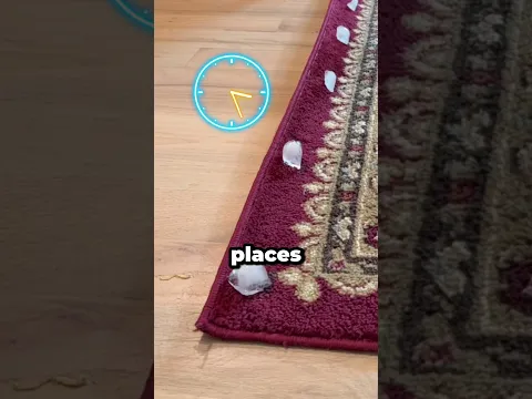 😍 The Strangest Way to Fix a Curled Rug!