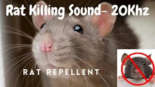 anti rat repellent mouse killer sound very high pitch sound 20khz kill rats using mobile