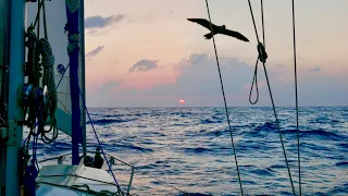 Sailing Across the Pacific [Adventure #161]