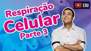 Respiração Celular - Parte 3 - Cadeia Respiratória - Prof. Paulo Jubilut