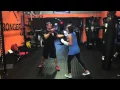 BOXFIT PALM 70 PUNCH COMBINATION