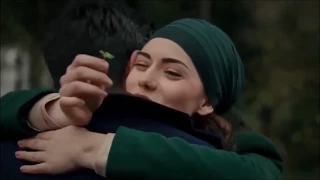 مرتضی سرمدی Murtaza Sarmadi 